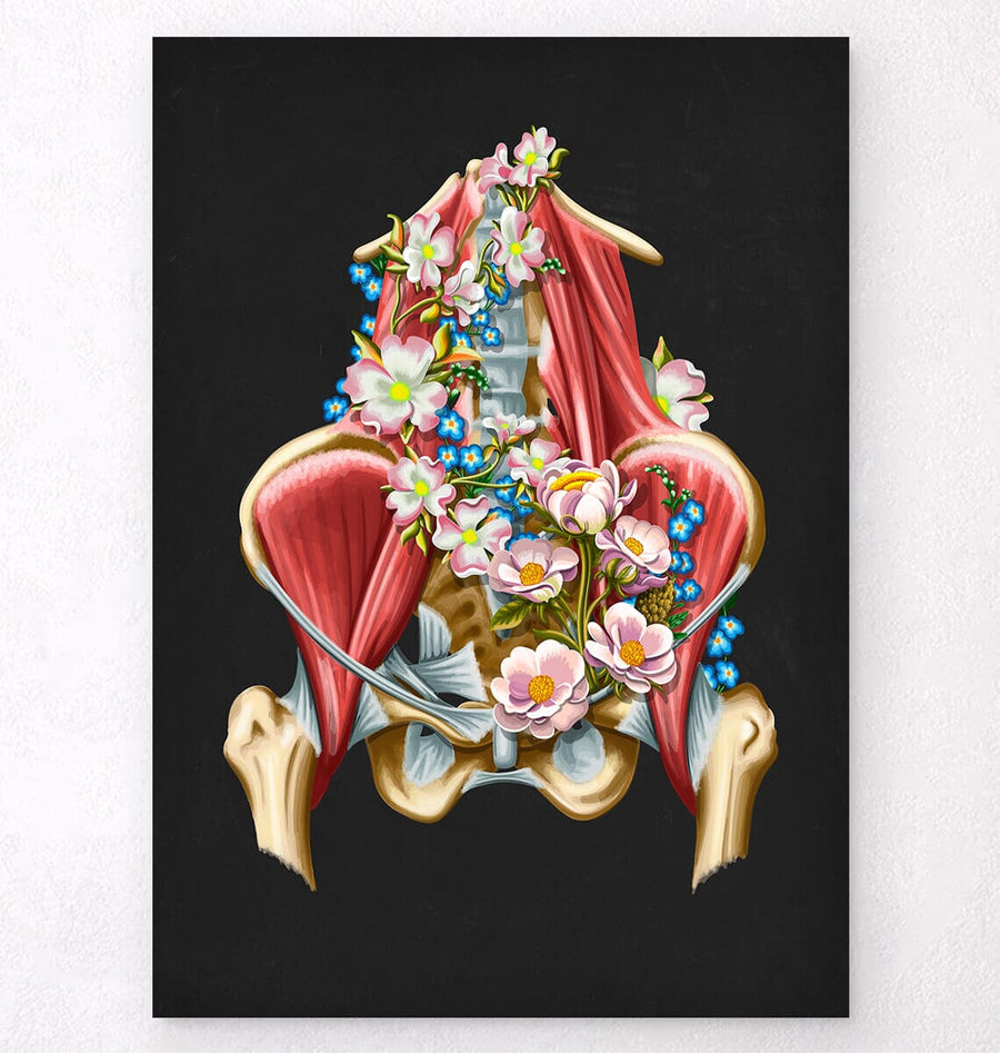 Iliacus and Psoas muscles - Floral - Black
