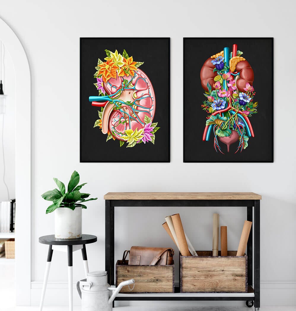 Floral urinary system anatomy art print – Codex Anatomicus