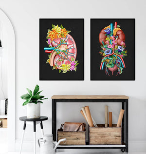 Urology anatomy posters