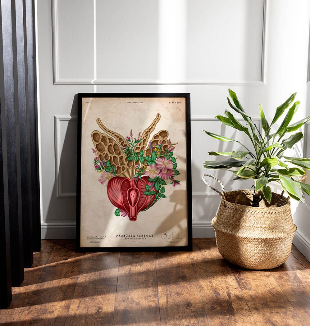 Floral prostate anatomy art print – Codex Anatomicus