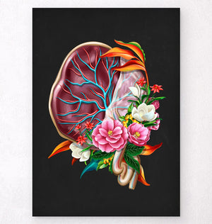 Placenta anatomy - Floral - Black