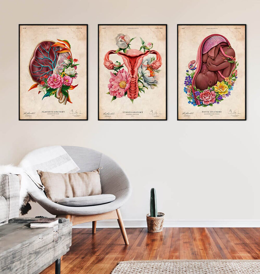 Obgyn anatomy posters - placenta, fetus, uterus