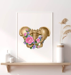 Poster showing anatomy of female pelvis