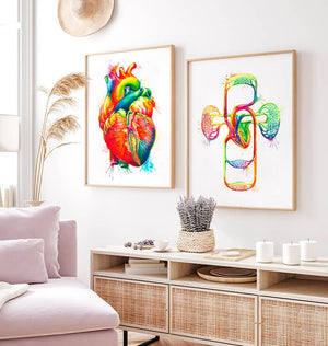 Cardiovascular anatomy art print