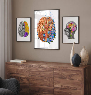 Brain anatomy wall art