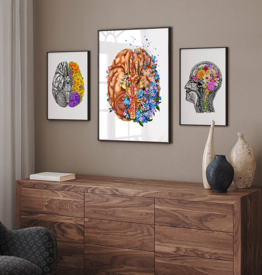 Brain anatomy wall art