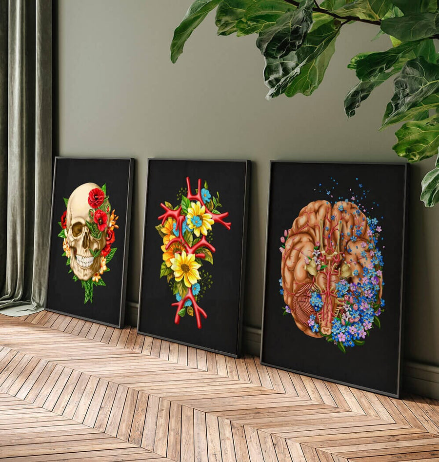 Brain anatomy posters