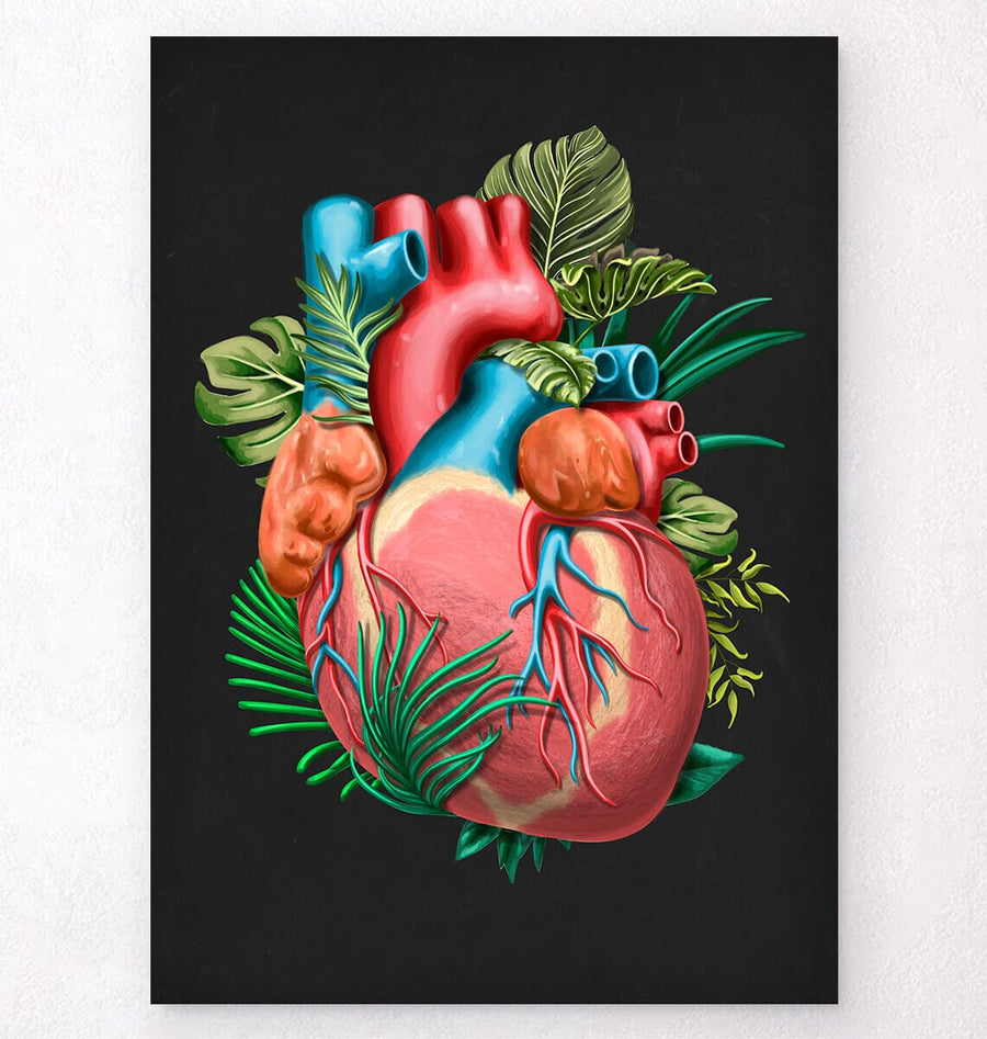 Heart anatomy art