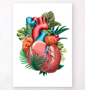 Anatomical heart art print