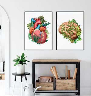 Brain and heart anatomy posters