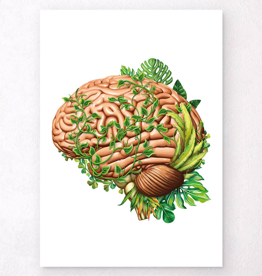 anatomicul brain poster