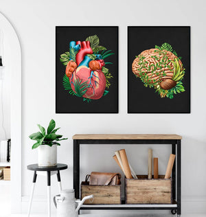 anatomy posters - brain and heart