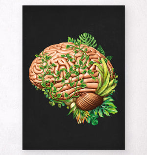 Floral brain anatomy poster