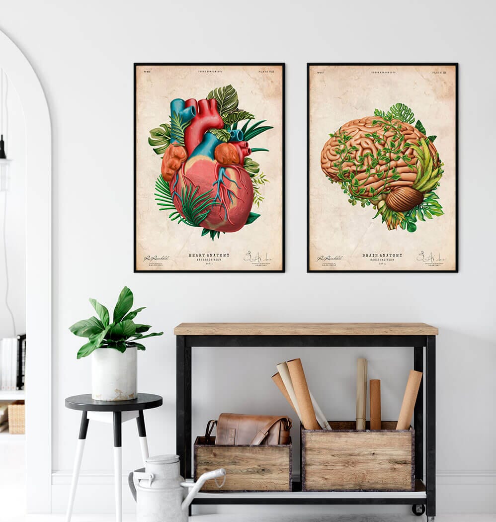 Floral brain anatomy art print - Codex Anatomicus