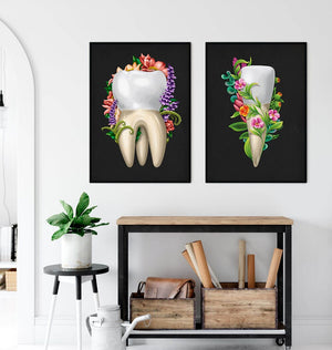 Dental clinic tooth anatomy posters