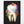 Laden Sie das Bild in den Galerie-Viewer, Molar anatomy poster

