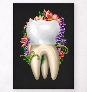 Molar anatomy poster
