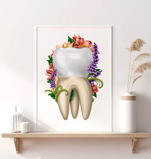 Molar anatomy poster