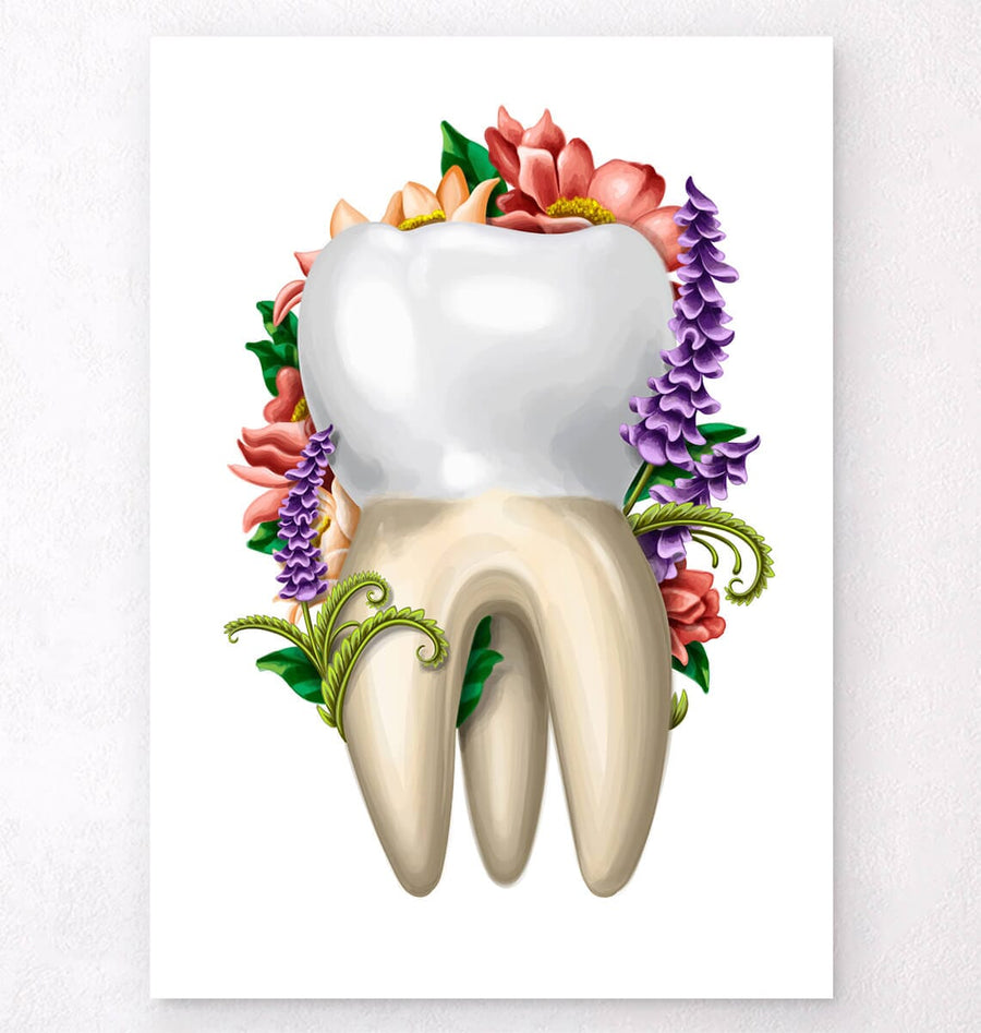 Floral anatomy poster - Molar tooth