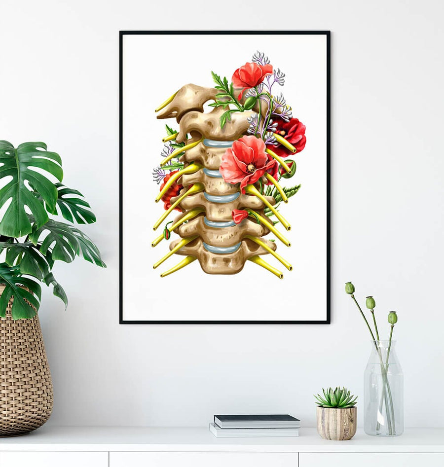 Cervical nerves anatomy art print