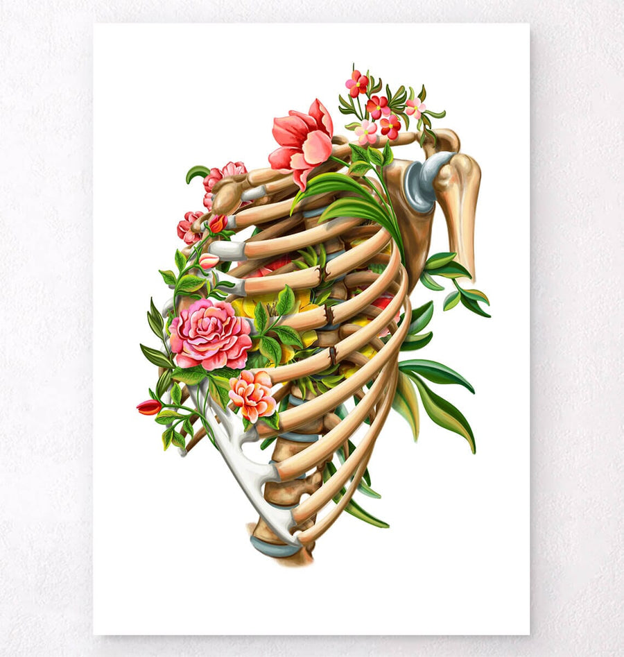 Rib fracture anatomy poster