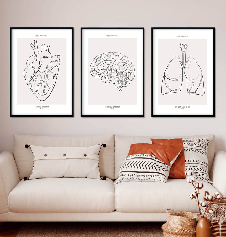 set of three anatomy art prints in line art style decorating a wall of the patients waiting room, prints represent heart anatomy, brain anatomy and lung anatomy 
