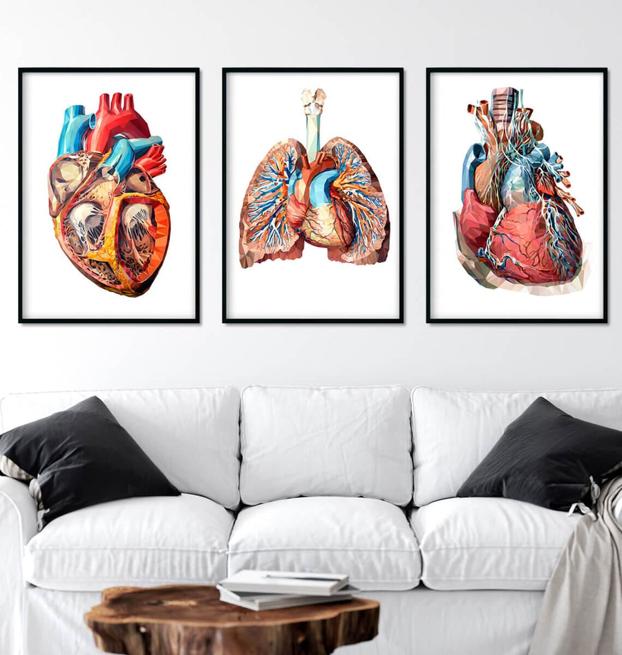 geometric anatomy art set consisting of two heart anatomy art prints and a lung anatomy set, they decorate a patients waiting room area