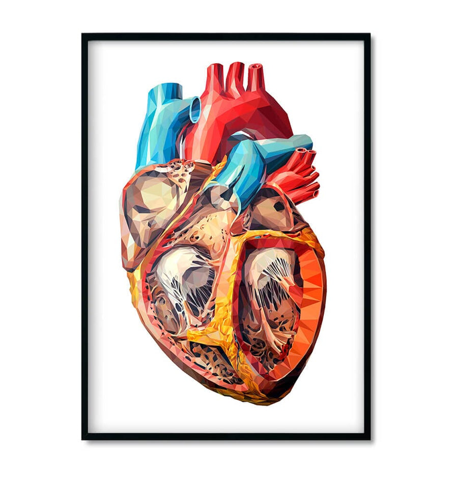 geometric heart anatomy art print by codex anatomicus
