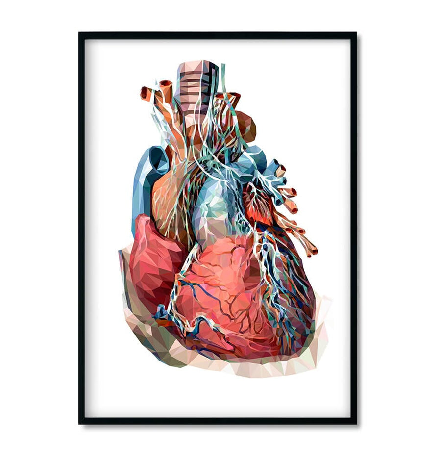framed geometric heart anatomy medical poster by codex anatomicus