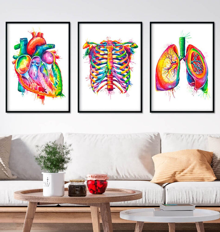 watercolor medical art art set consisting of heart, ribcage and lung anatomy art prints which decorate a waiting room are in a general medical practice