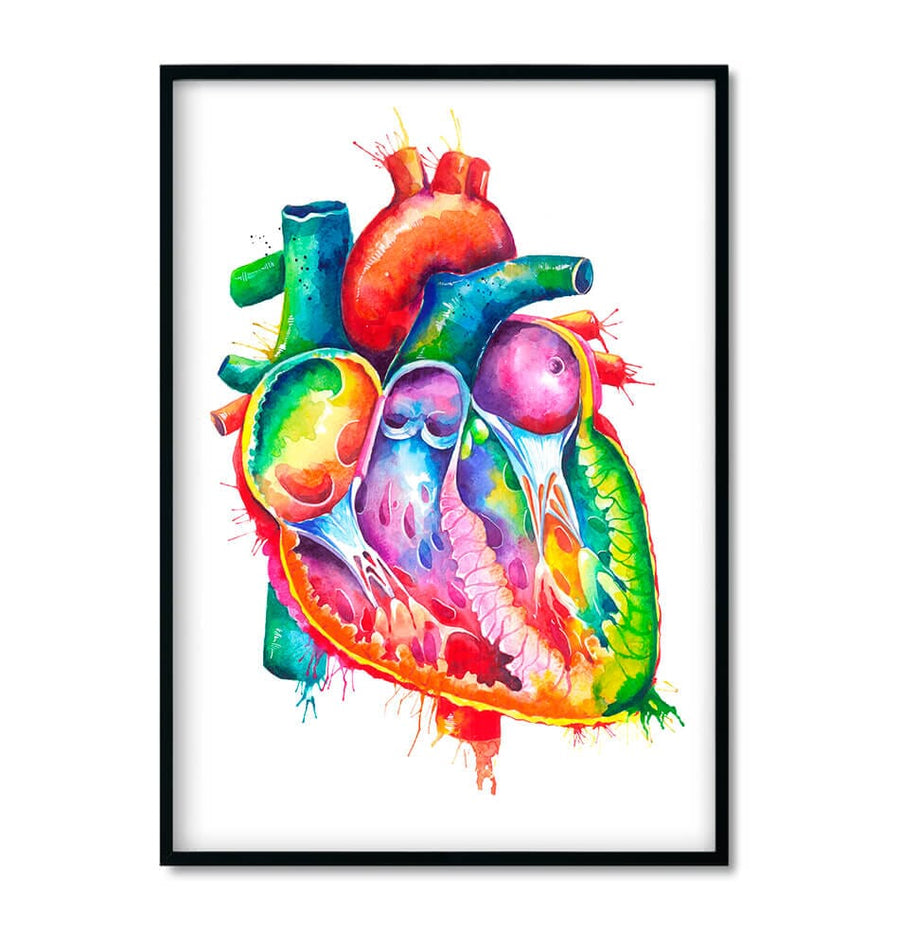 framed heart anatomy art print in watercolor style by codex anatomicus