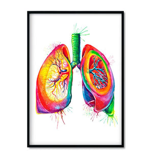 framed lungs anatomy poster in watercolor style by codex anatomicus