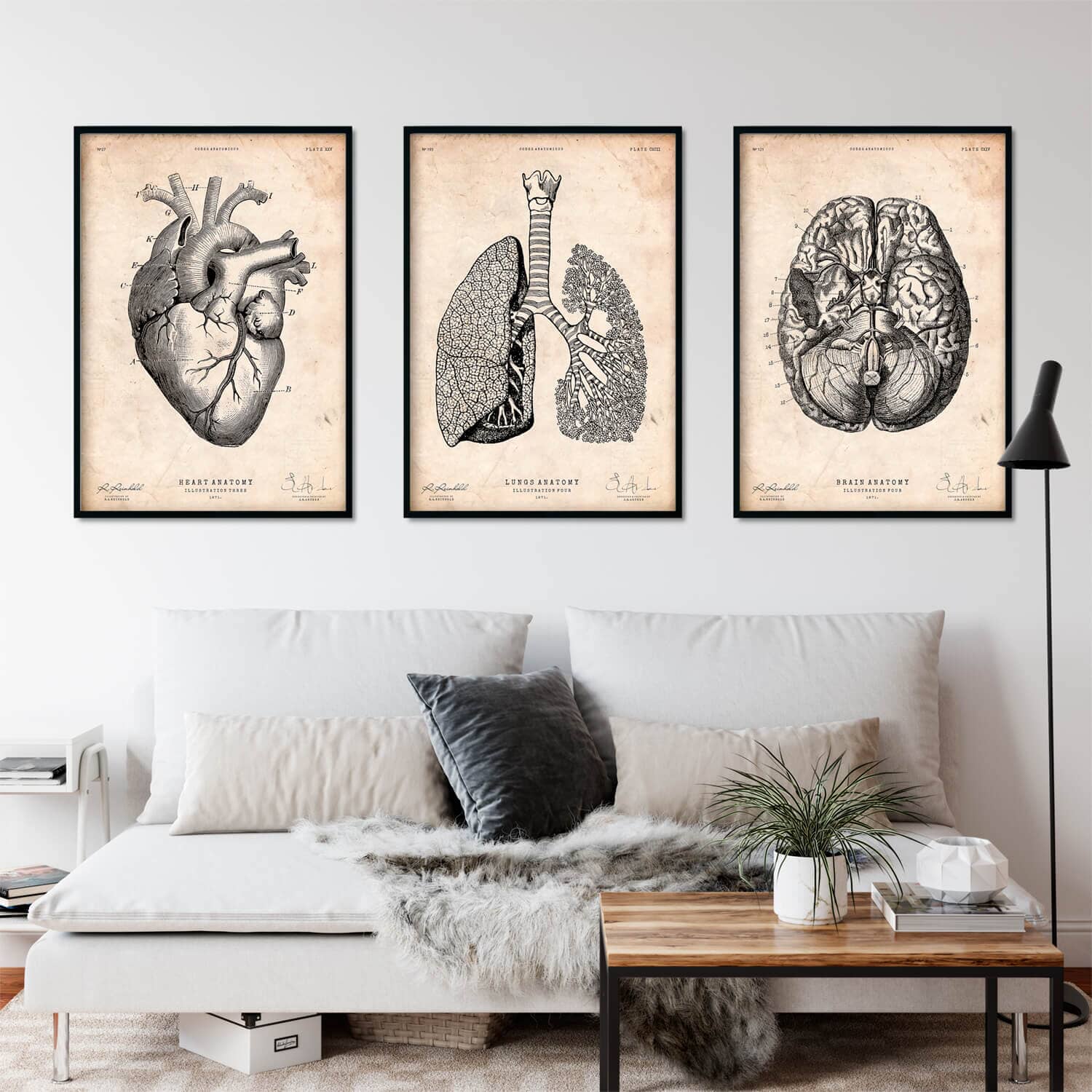 SET5-2_1500x.jpg?v=1686681545