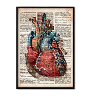 geometrical heart anatomy art print in old dictionary style by codex anatomicus