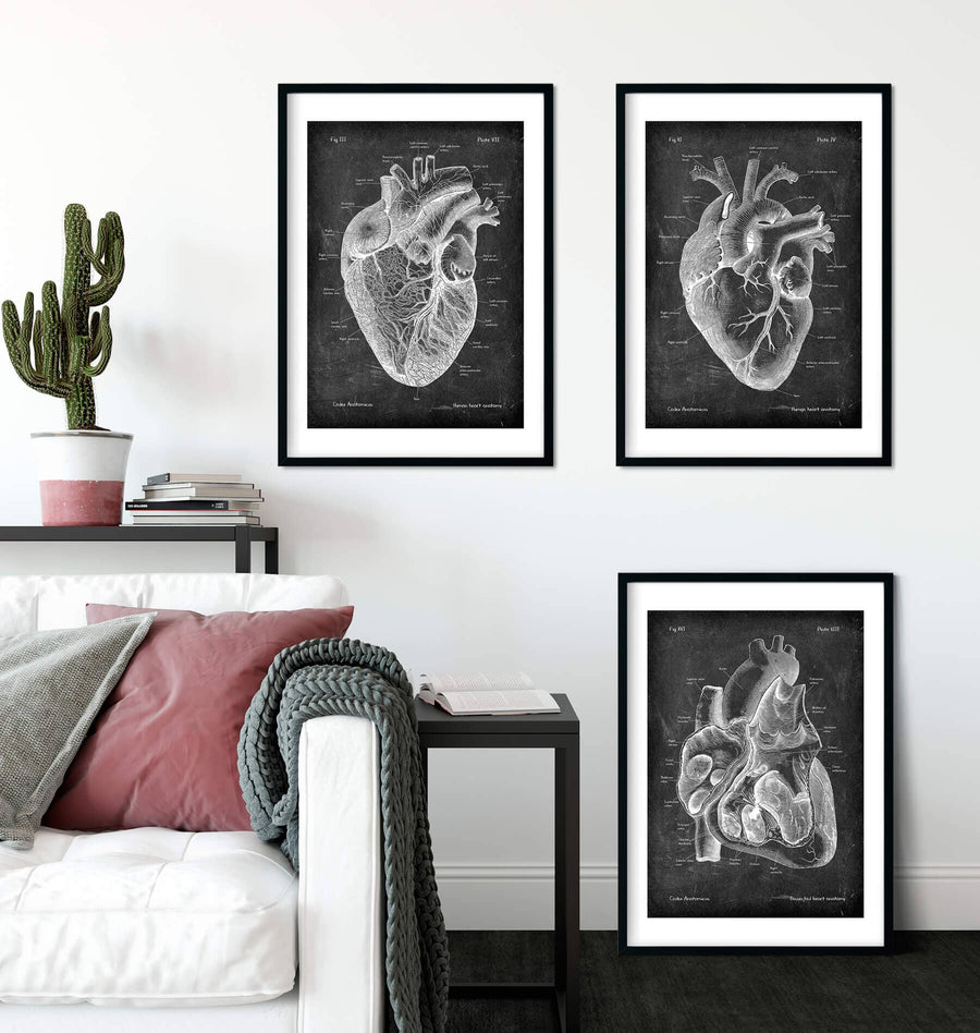 Heart anatomy chalkboard art set by codex anatomicus