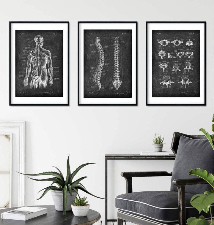 Physiotherapy room decor 