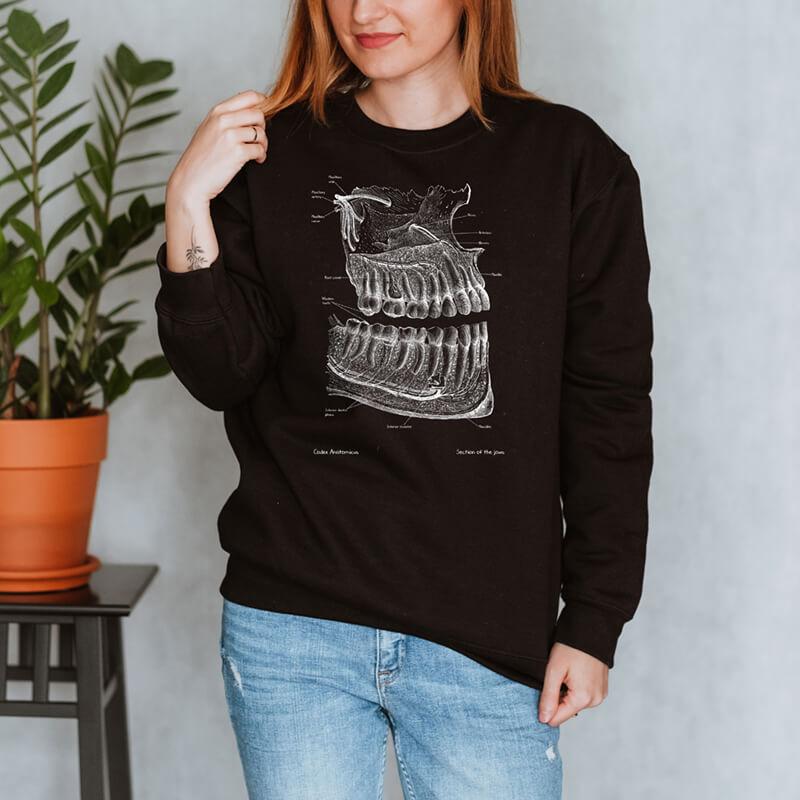 dental anatomy chalkboard sweatshirt for women by codex anatomicus
