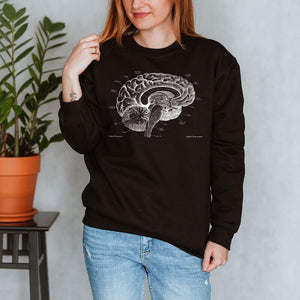 brain anatomy sweatshirt for women by codex anatomicus