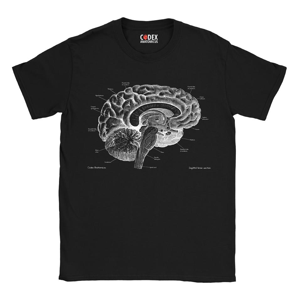 Brain Anatomy T Shirt Chalkboard Codex Anatomicus 3629