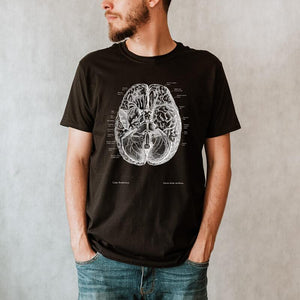 brain anatomy t-shirt for men by codex anatomicus