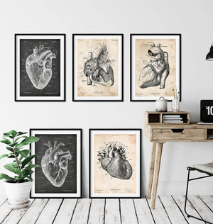 Heart anatomy art wall