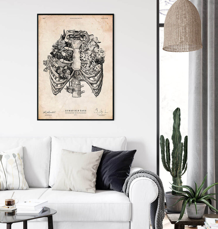 Rib cage print Vintage Anatomy Poster in a frame
