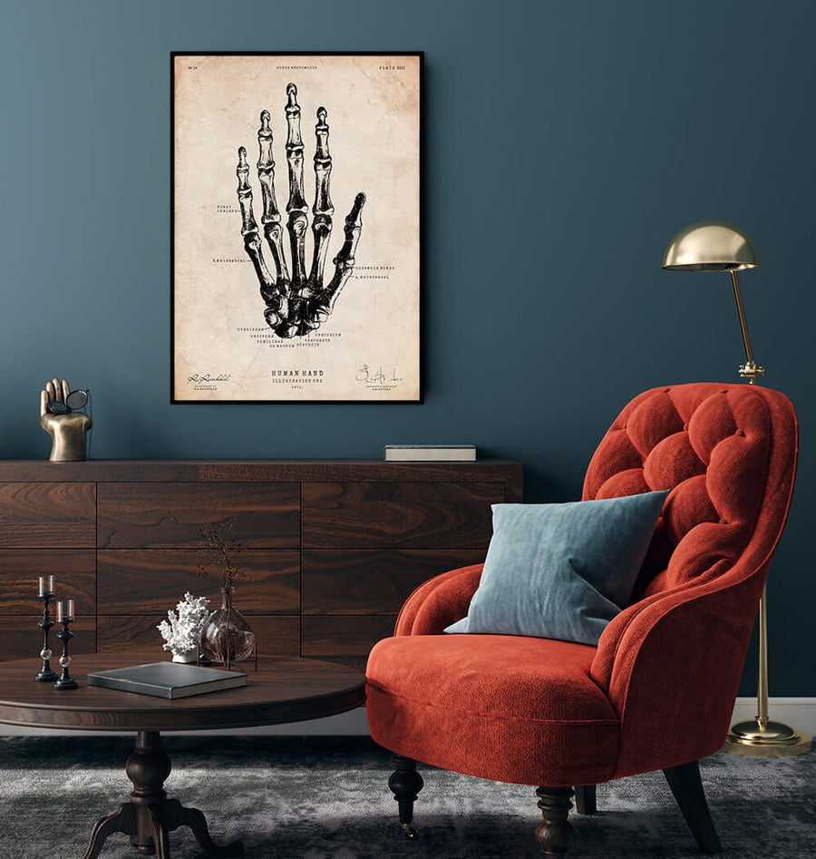 Human hand vintage anatomy print by Codex Anatomicus