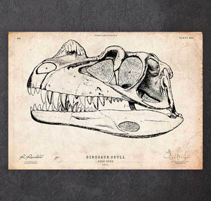 Dinosaur skull print