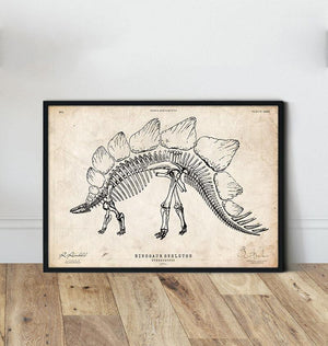 Dinosaur skeleton print - Stegosaurus