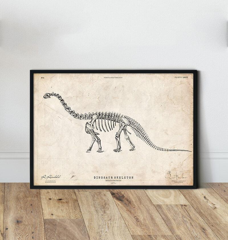 Dinosaur skeleton print - Apatosaurus – Codex Anatomicus