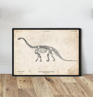Dinosaur skeleton print - Apatosaurus