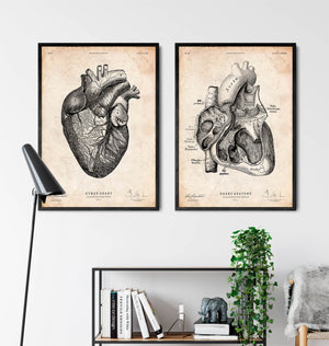 Heart anatomy print VII