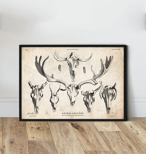 Deer skull posters