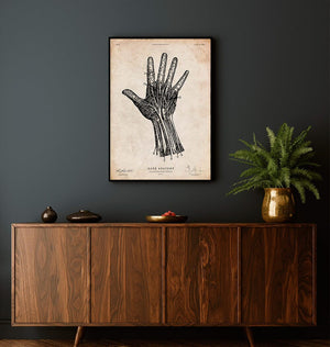 Hand anatomy chart by Codex Anatomicus